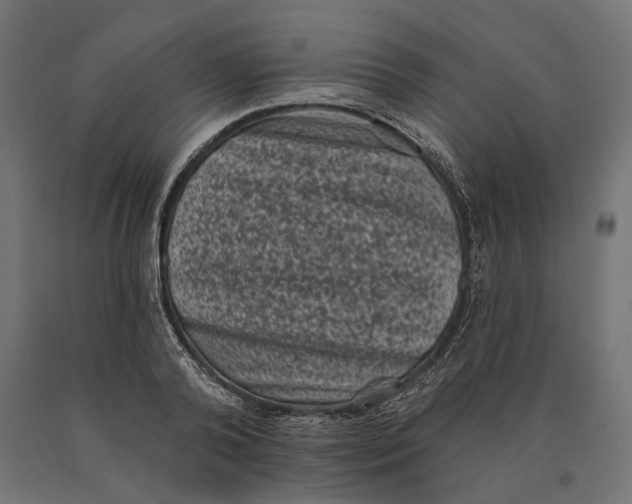 X0000090420792200708031105