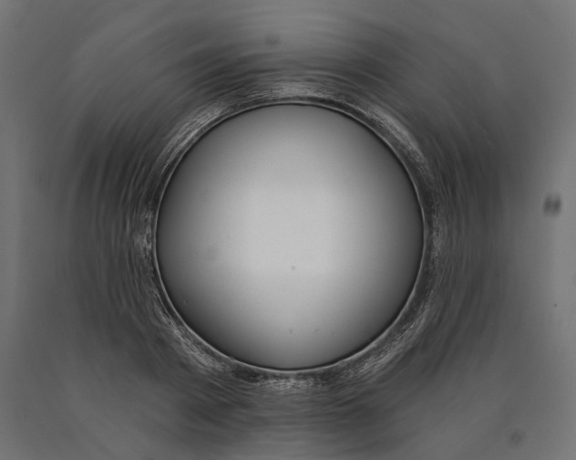 X0000090420793200708031105