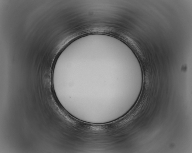 X0000090420794200708031105