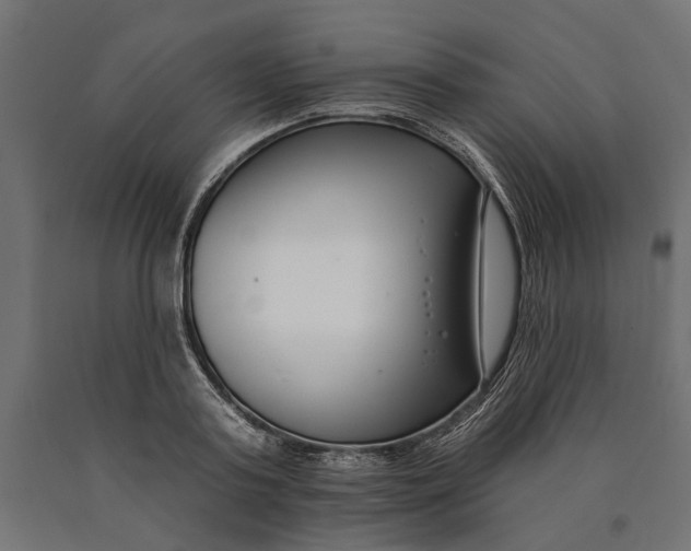 X0000090420795200708031105