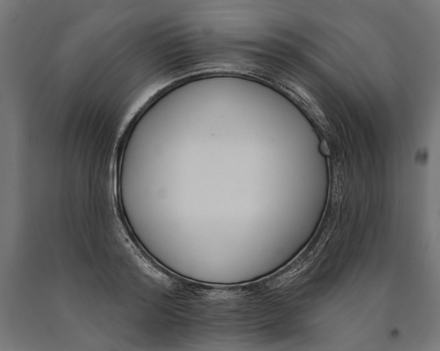 X0000090420796200708031105