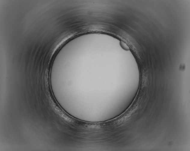 X0000090420798200708031105