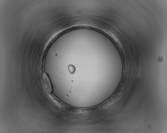 X0000090420799200708031105