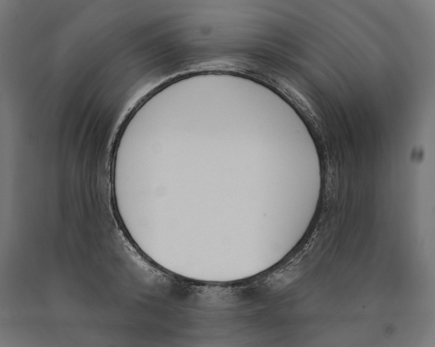 X0000090420800200708031105