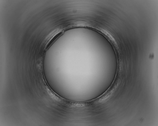 X0000090420801200708031105