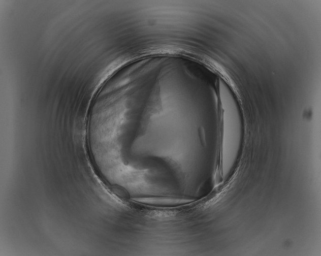 X0000090420802200708031105