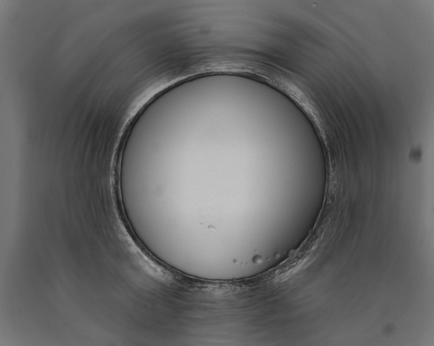 X0000090420803200708031105