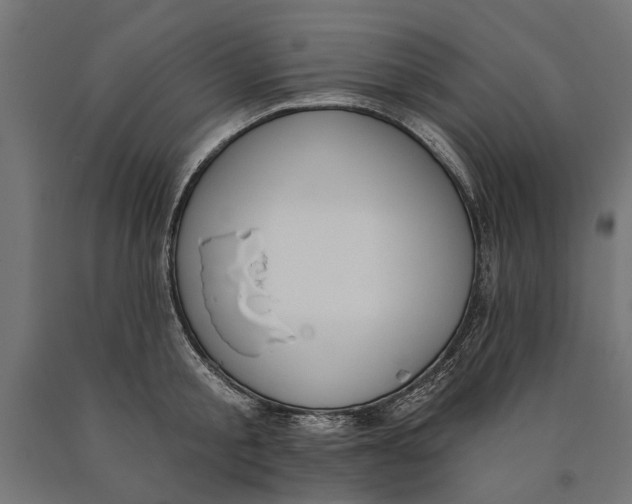 X0000090420805200708031105