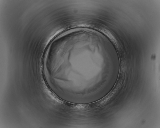 X0000090420806200708031105