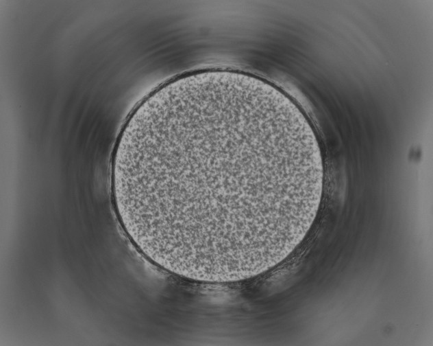 X0000090420807200708031105