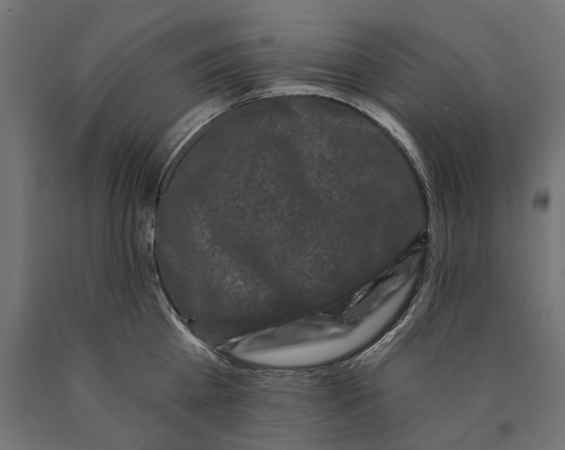 X0000090420809200708031105