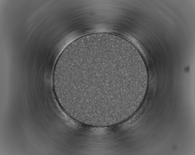 X0000090420810200708031105