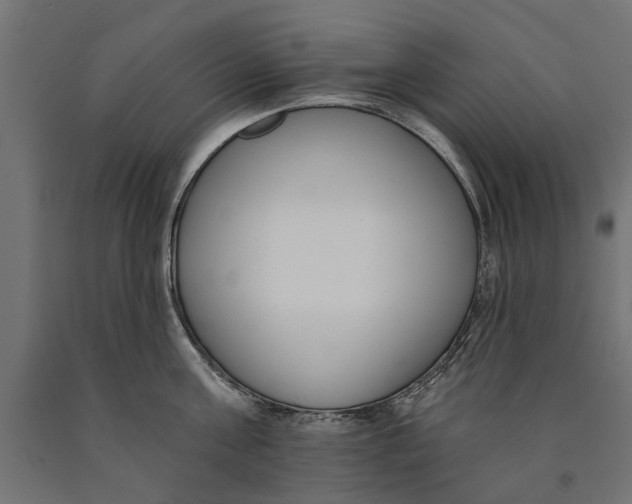 X0000090420811200708031105