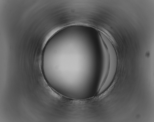 X0000090420812200708031105