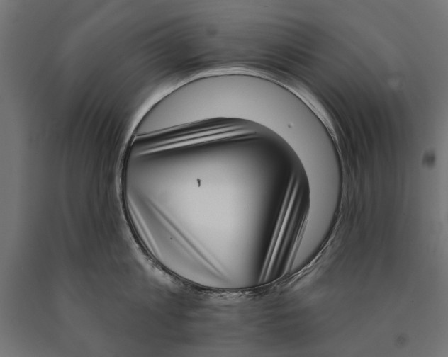 X0000090420813200708031105