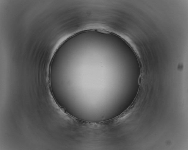 X0000090420815200708031105