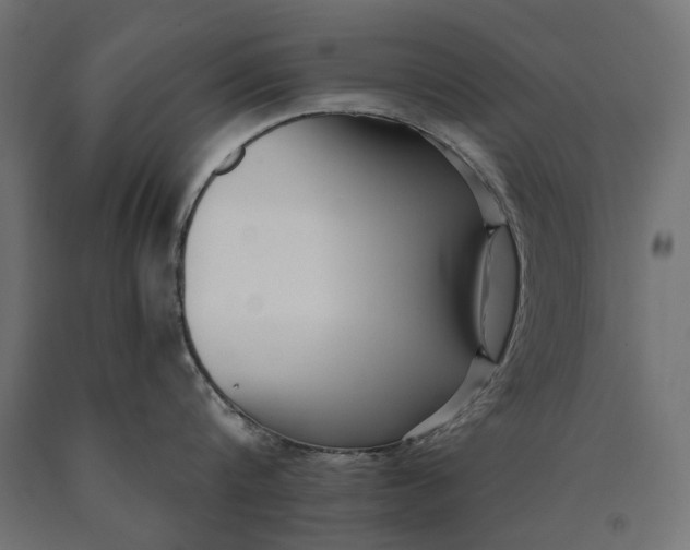 X0000090420816200708031105