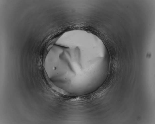 X0000090420818200708031104