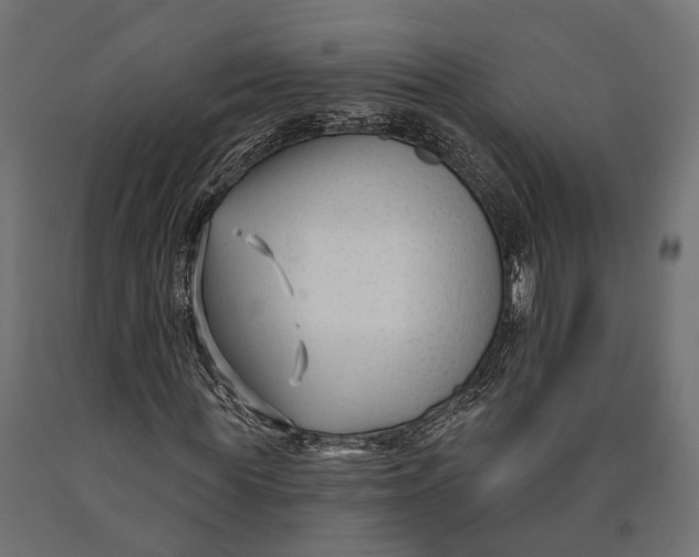 X0000090420819200708031104