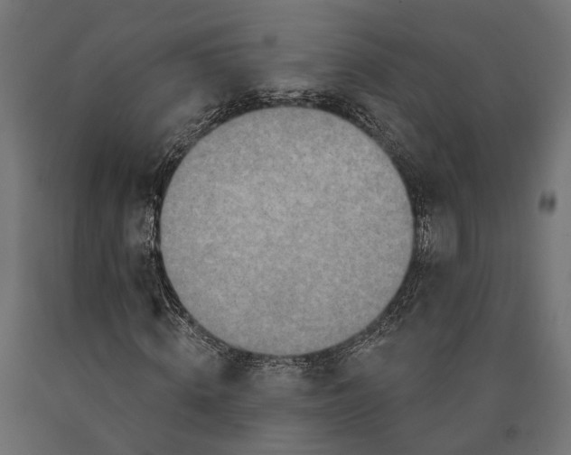 X0000090420820200708031104