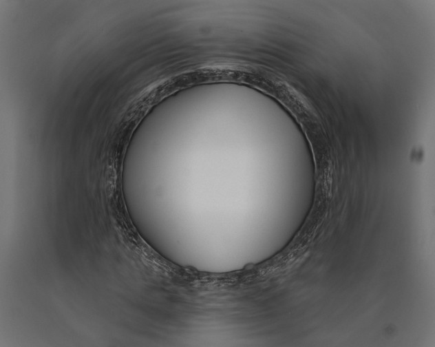 X0000090420821200708031104