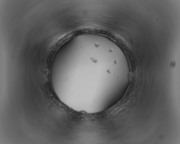 X0000090420822200708031104