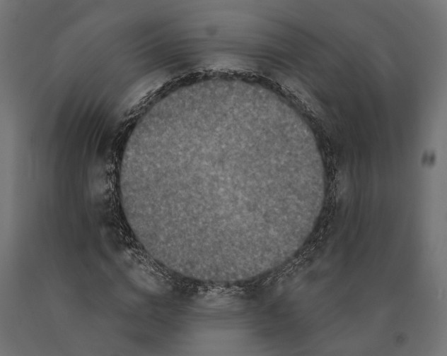 X0000090420824200708031104