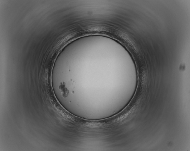 X0000090420825200708031104