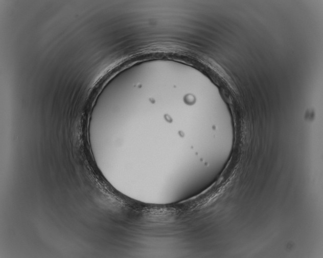 X0000090420826200708031104