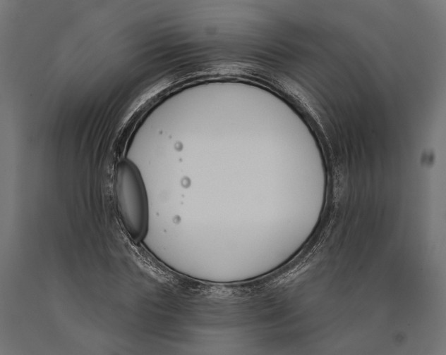 X0000090420827200708031104