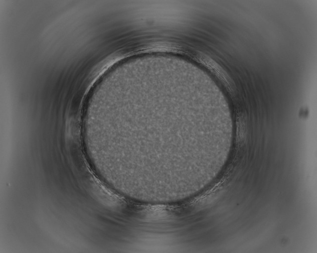 X0000090420828200708031104