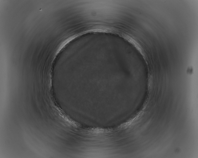 X0000090420829200708031104