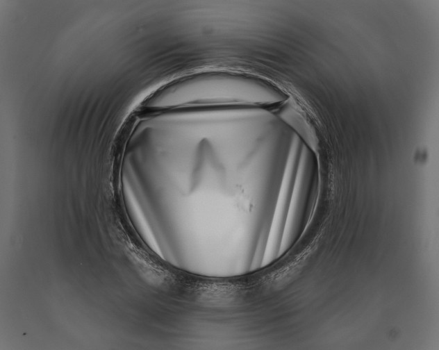 X0000090420830200708031104