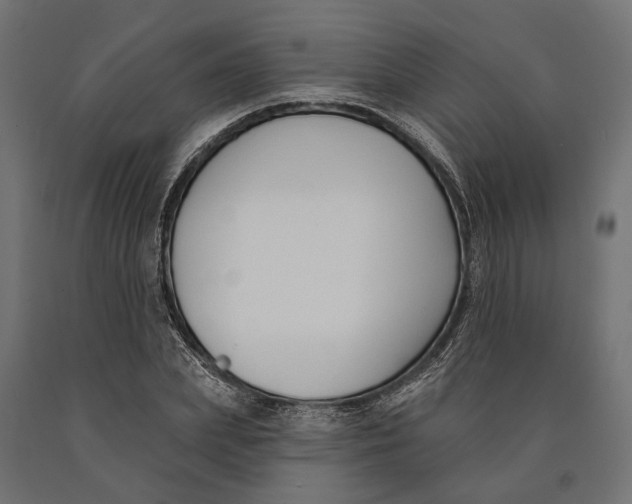 X0000090420831200708031104