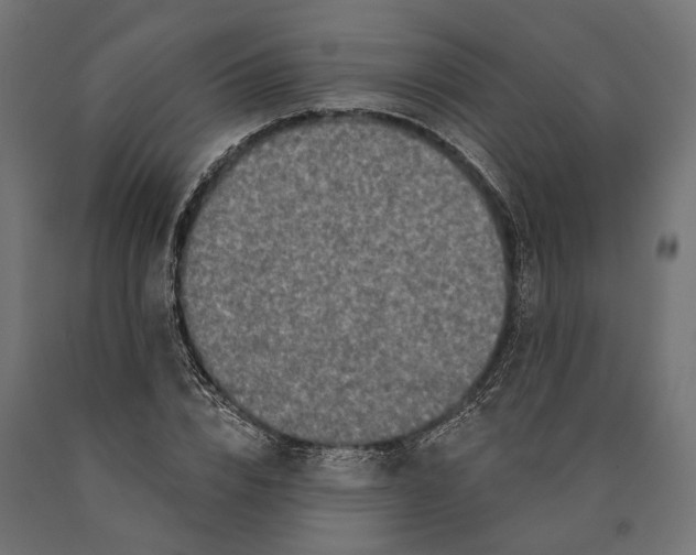 X0000090420832200708031104