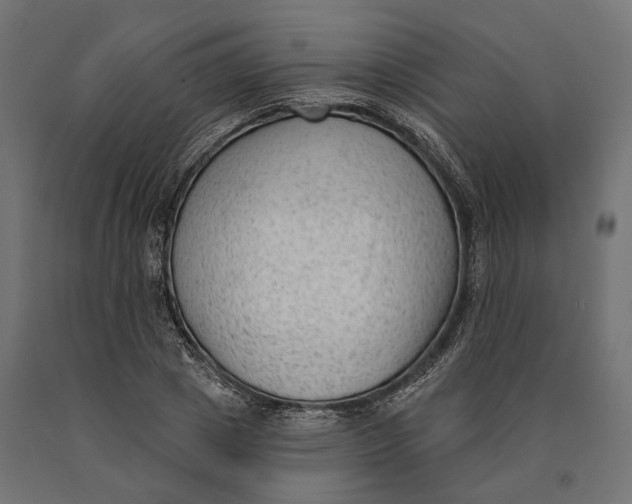 X0000090420833200708031104