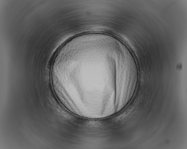 X0000090420835200708031104