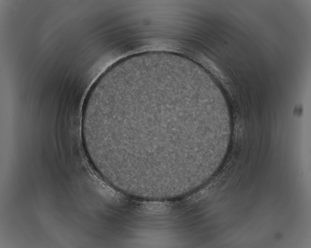 X0000090420836200708031104