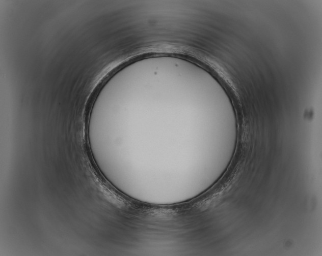 X0000090420837200708031104