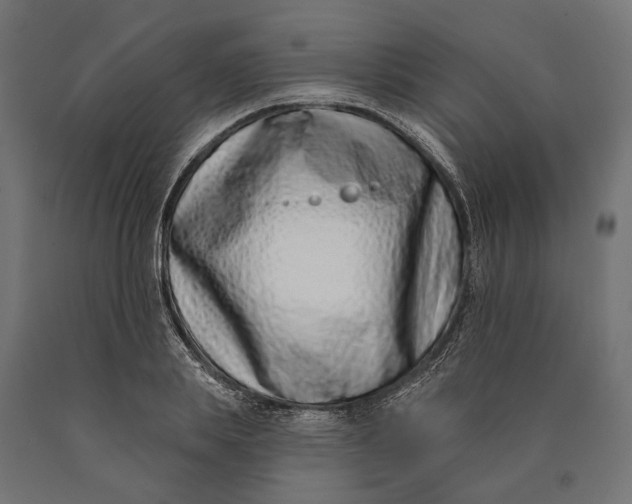 X0000090420839200708031104