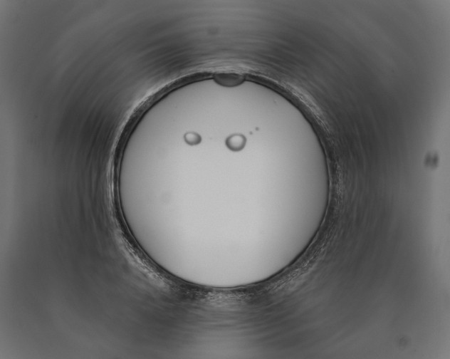 X0000090420840200708031104