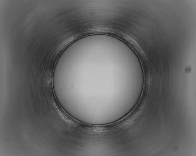 X0000090420841200708031104