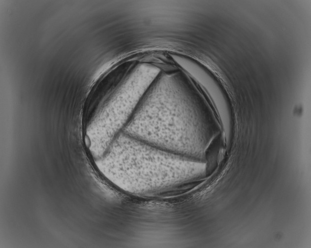 X0000090420842200708031104