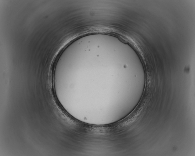 X0000090420843200708031104