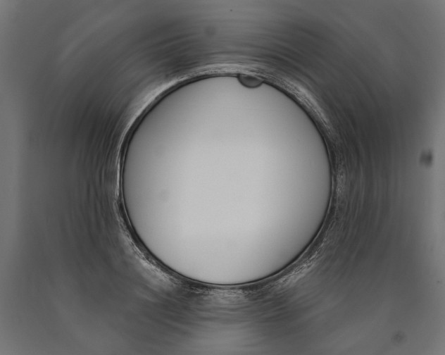 X0000090420844200708031104