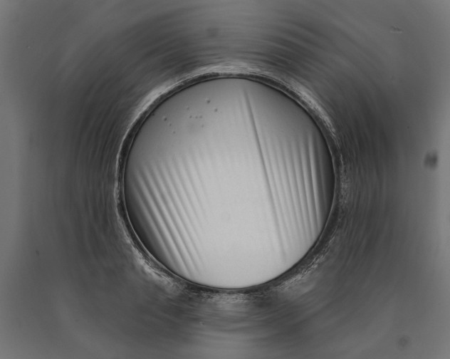 X0000090420845200708031104