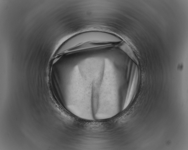 X0000090420846200708031104