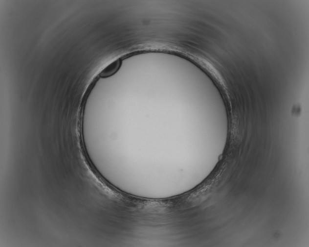 X0000090420847200708031104