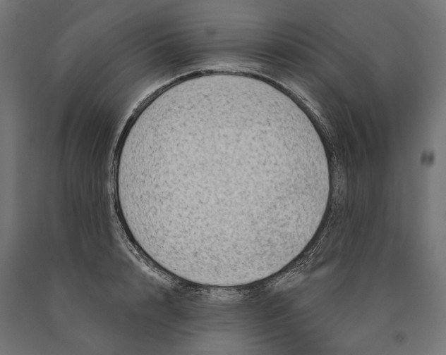 X0000090420848200708031104