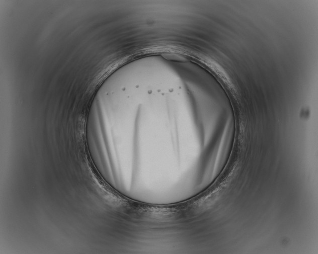 X0000090420849200708031104